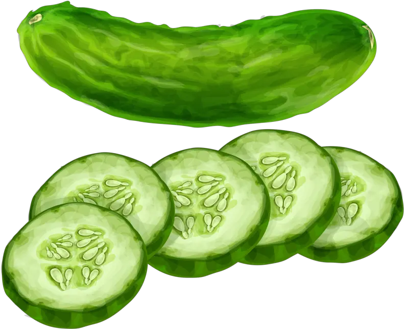 Vegetables Clipart Cucumber Cucumber Clipart Png Cucumber Png