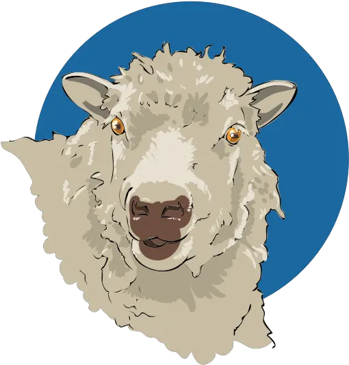 Filesheep Closeup 03svg Wikimedia Commons Sheep Face Png Lamb Icon