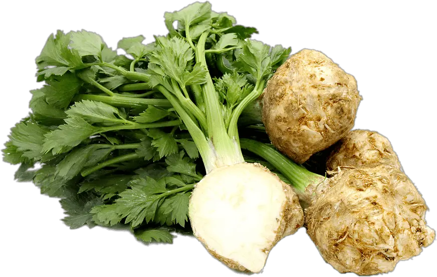 Celery Root Transparent Png Celery Root Png Celery Png