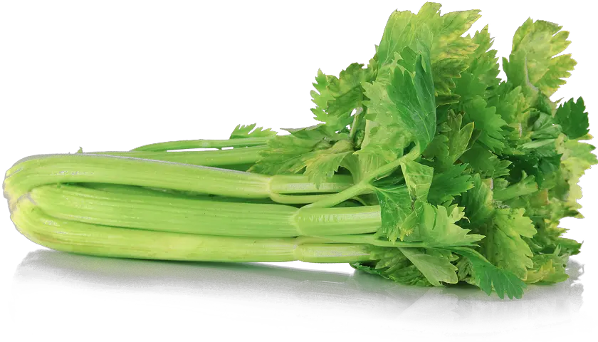 Celery Transparent Png Celery Transparent Background Celery Png