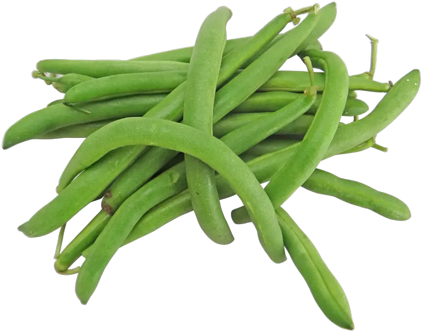 Green Bean Png 8 Image Green Beans Transparent Background Bean Png