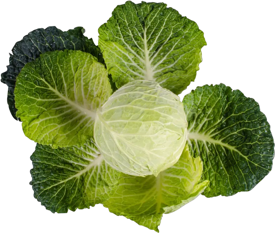 Kale Png Image Vetamin K Png Kale Png