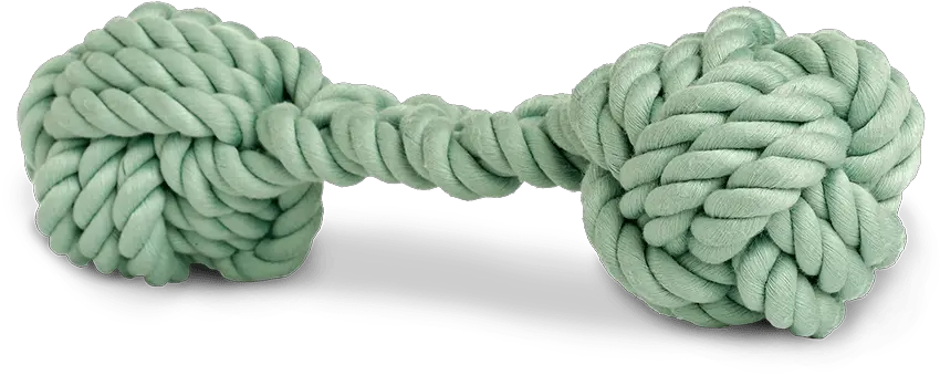 Sage Green Bone Rope Rope Png Rope Transparent