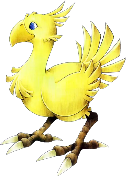 Chocobo Final Fantasy Chocobo Png Chocobo Png