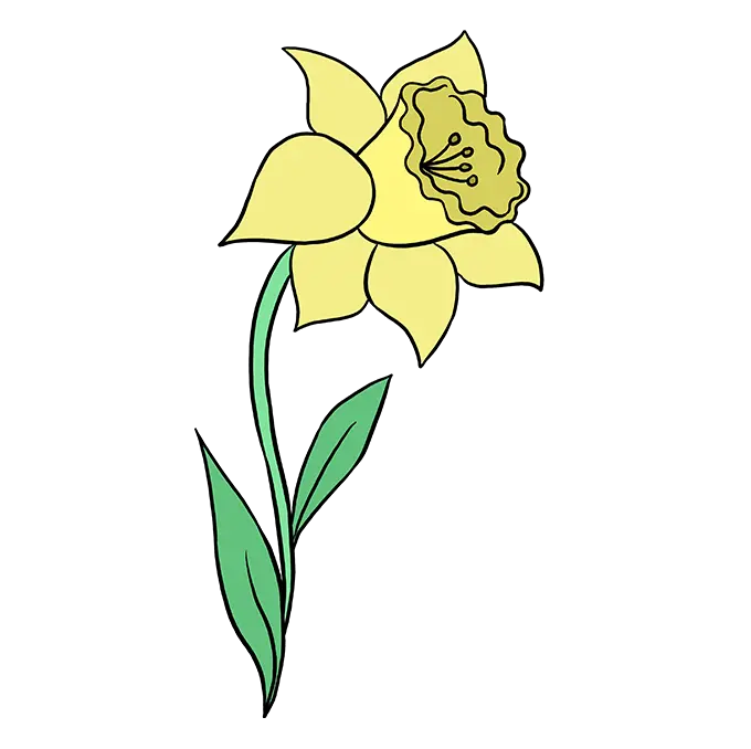 Daffodil Png Image With No Background