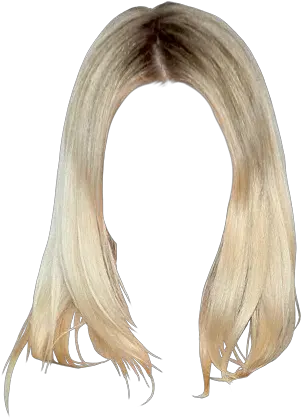 Download Dakota Fanning Long Straight Transparent Straight Hair Png Wig Png