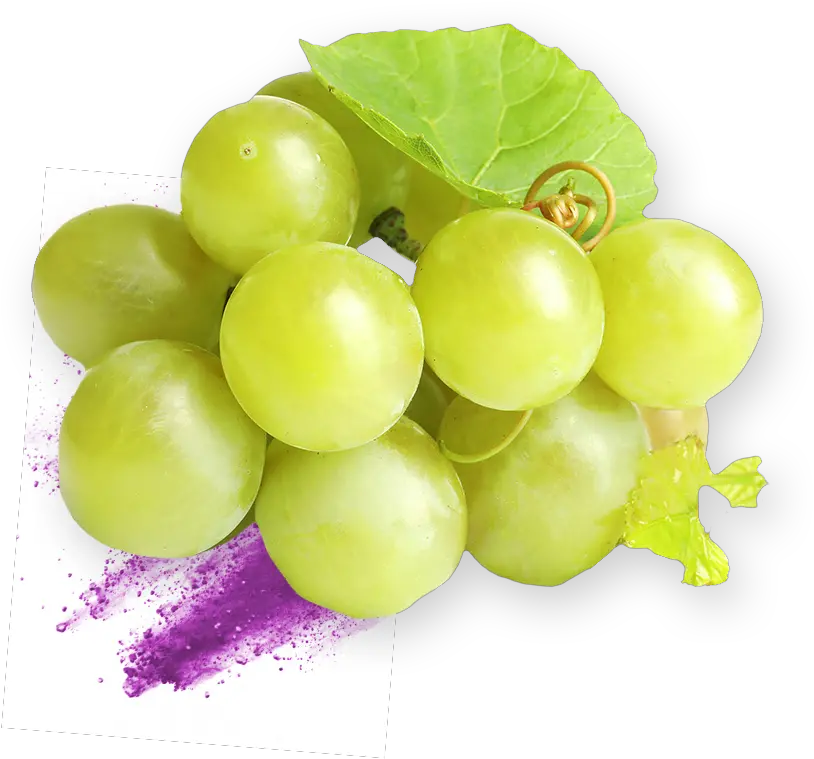 Grape Extract Specialist Nexira Grape Png Grape Png