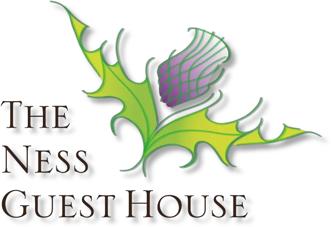 The Ness Guest House Language Png Ness Transparent