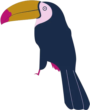 Toucan Bird Png Transparent Image Png 678 Free Png Toucans Toucan Png