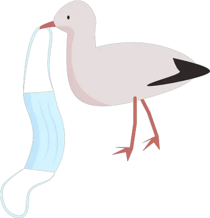 Seagull Icons Download Free Vectors U0026 Logos Duck Png Foxhound Icon