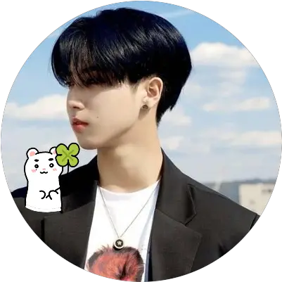 Hyunjin Birth Stray Kids Han Wish You Back Png Yugyeom Icon