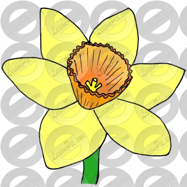Lessonpix Mobile Water Lilies Png Daffodil Png