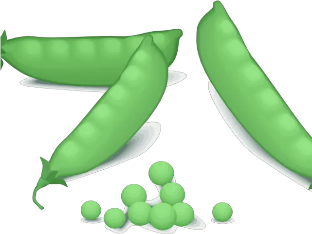 Pea Clipart Snow Green Pea Clipart Png Pea Png