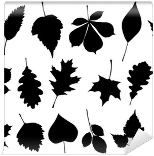 Vector Illustration Set Of 18 Autumn Leaf Silhouettes Wall Mural U2022 Pixers We Live To Change Leaf Silhouette Png Leaf Silhouette Png png