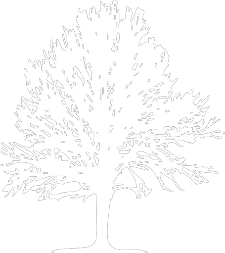 White Tree 24 Icon Free White Tree Icons Icons Trees White Png Tree Icon Vector Free png