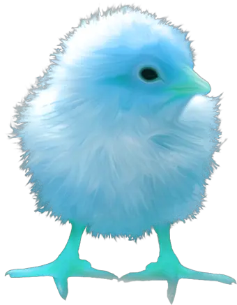 Chick Coloures Transparent Baby Chick Png Chick Png