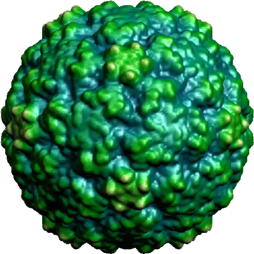 Virus Transparent Measles Picture Gif No Background Virus Png Virus Transparent