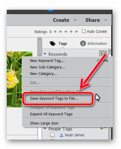 Solved Re How To Export My Tags U0026 Keywords From Windows Vertical Png Keyword Icon