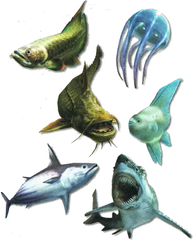 Fish Monster Hunter Wiki Fandom Monster Hunter Tri Monster Png Fishes Png