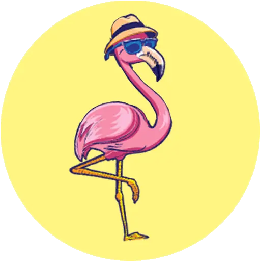 Girly Png Flamingo Icon