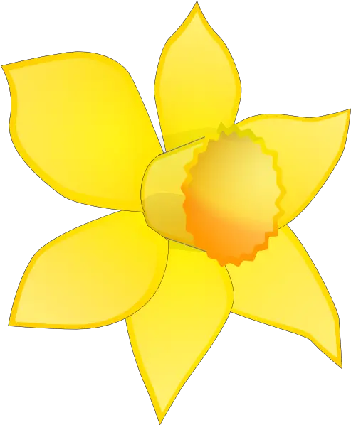 Cartoon Daffodil Flower Flower Cartoon Daffodils Png Daffodil Icon