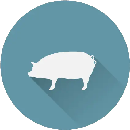 Pork Icon Moweaqua Packing Plant Logo De Carne De Cerdo Png Pig Icon