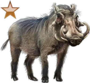 Download Free Png Warthog Common Warthog Warthog Png