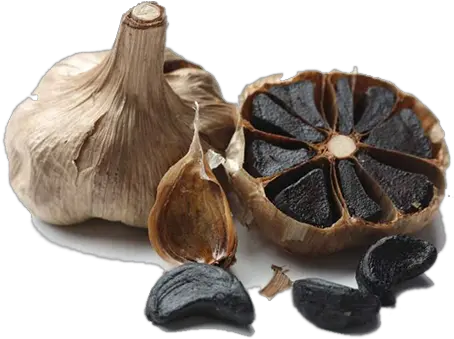 Black Garlic The Super Food Of This Century Black Garlic Png Garlic Png