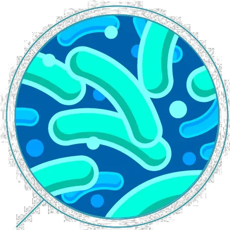 Bacteria Png Transparent Transparent Background Bacteria Png Bacteria Transparent Background