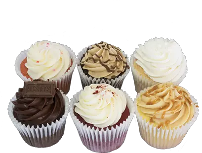 6 Pack Big Cupcakes Cupcake Png Cupcakes Png