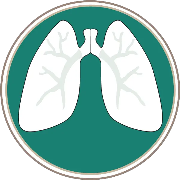 Southern Lung Specialists Pc Lungs Logo Png Clipart Bear Paw Cafe Lung Png
