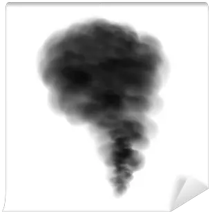 Vector Smoke Wall Mural U2022 Pixers We Live To Change Smoke Png Smoke Vector Png png