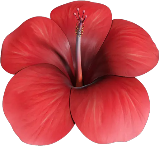 Flower Hibiscus 3d Shoeblackplant Png Hawaiian Flower Icon