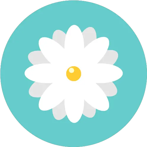 Blossom Chamomile Daisy Flower Flowers Png Icon