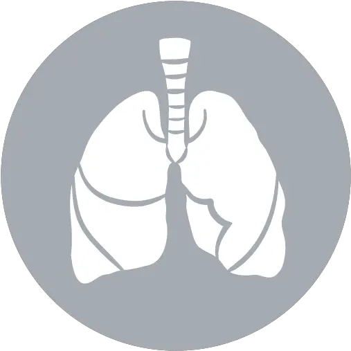Images Lung Icon Png 3507 Transparentpng Human Internal Organ Icon Lungs Icon