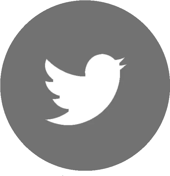 Twitter Blue Twitter Icon Png Full Size Png Download Twitter Flat Icon Size For Twitter Icon