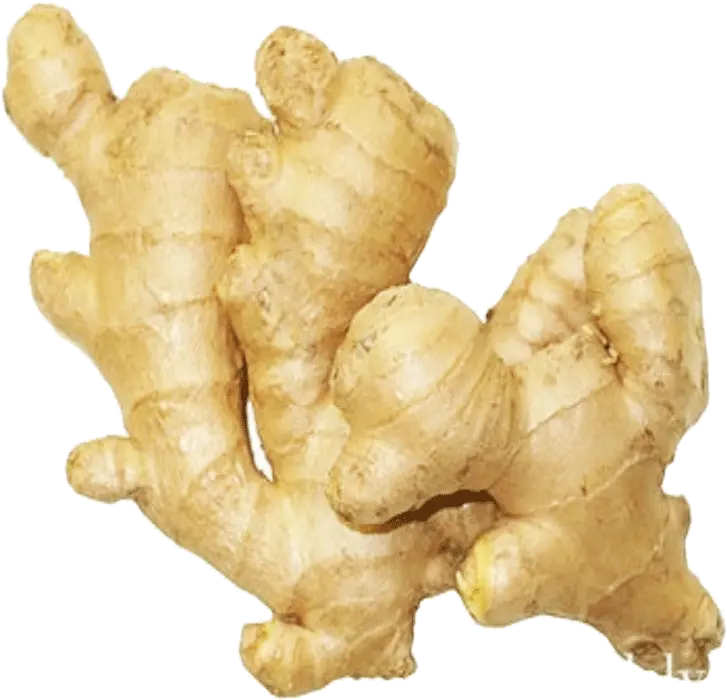 Download Ginger 1 Kg Ginger Root Hd Png Download Uokplrs Indian Ginger Ginger Png