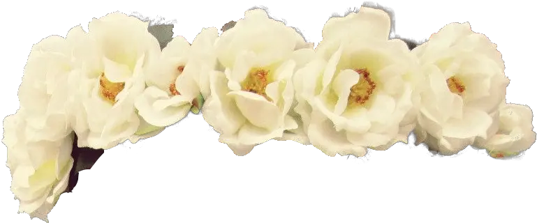 Download Hd White Flower Crown Png Flowers Healthy Yellow Artificial Flower Flower Crown Transparent png