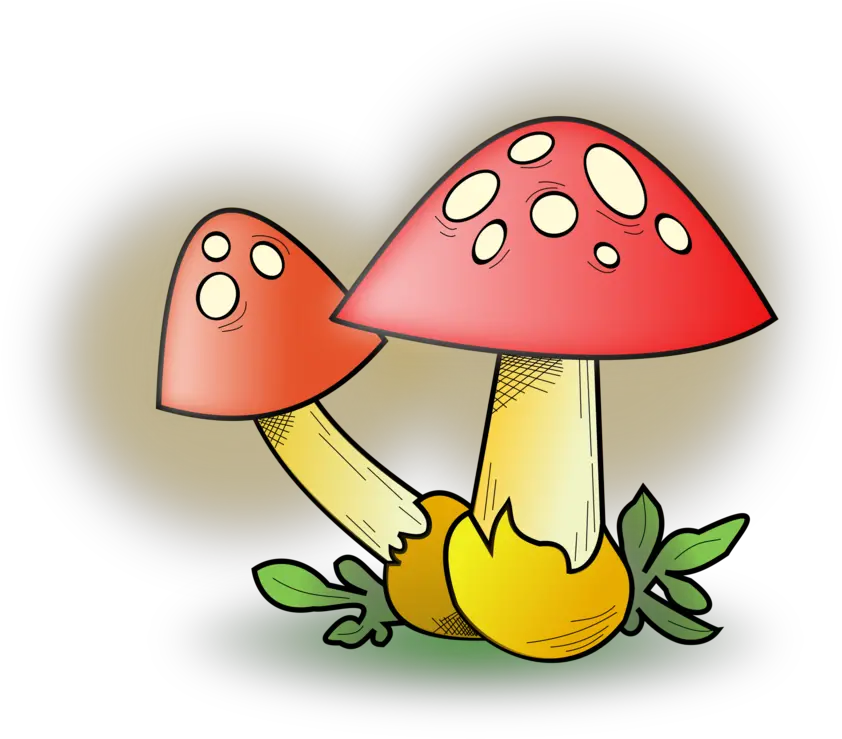 Plantflowerart Png Clipart Royalty Free Svg Png Fungi Animated Edible Icon