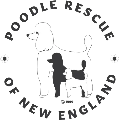 Poodle Rescue Of New England U2013 Our Goal Is To Place The Png Icon