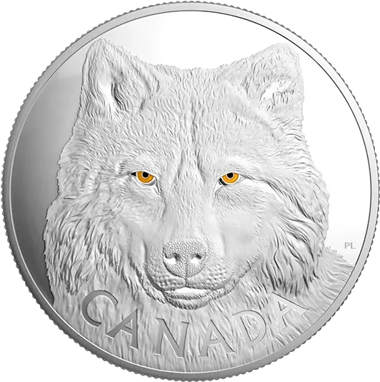 Pure Silver One Auge Des Wolfs Silber Png Wolf Eyes Png