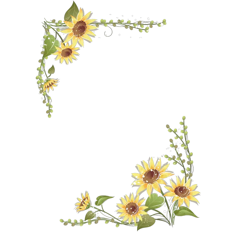 Sunflower And Roses Png