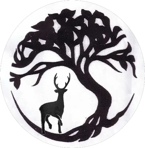 Celtic Tree Of Life Family Tree Symbol Tattoos Tribal Tree Png Tree Of Life Transparent png