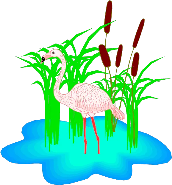 Free Flamingo Clipart Clip Art Png Flamingo Clipart Png