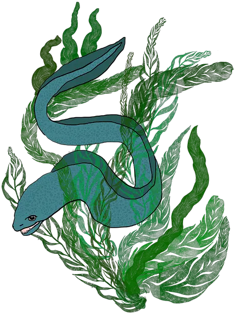 Sea Eel Moray Serpent Png Eel Png