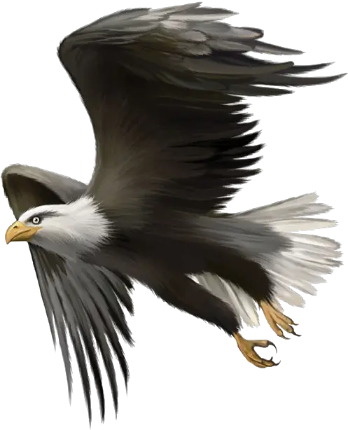 Bald Eagle Flying Png Don T Be A Parrot Be An Eagle Quotes Eagle Flying Png