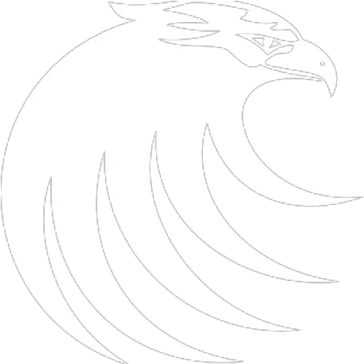 Hawk Ventures U2013 Helping Our Partners Soar Automotive Decal Png Hawks Icon