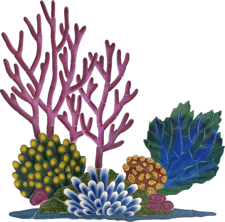 Coral Reef Clipart Hd Png Download Coral Reefs Clipart Coral Reef Png