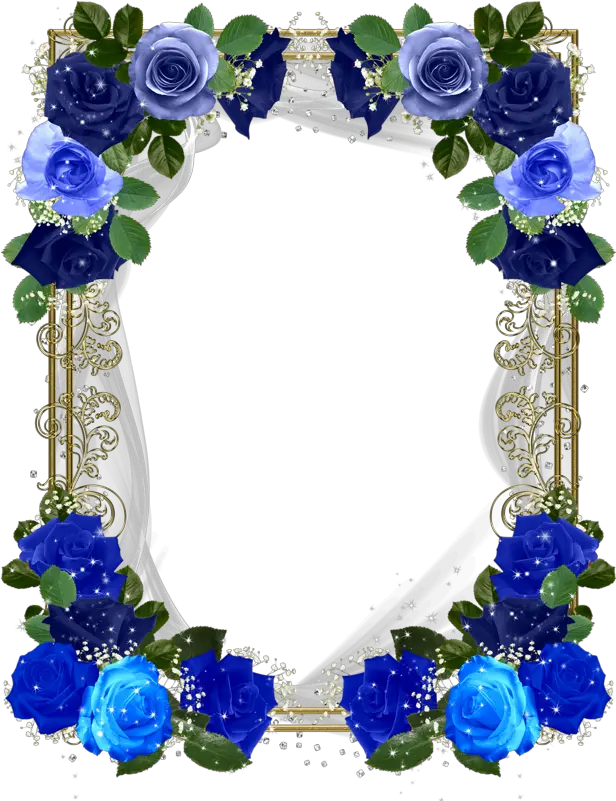 Download Blue Roses Frames Blue Roses Border Png Png Image Blue Roses Border Png Roses Border Png