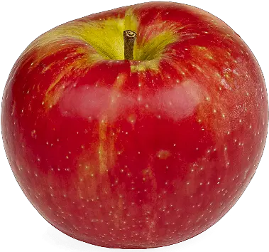 Png Transparent Apple Fruit Good Apple Fruit Transparent